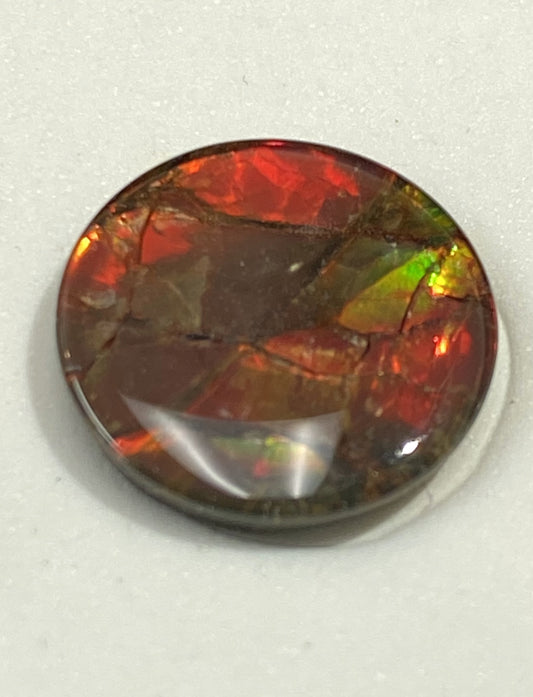 12.0mm Canadian Ammolite Gemstone